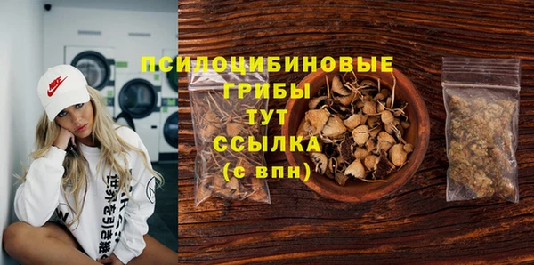 дурь Аркадак