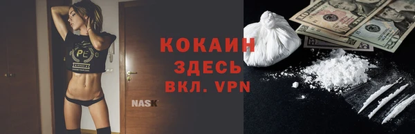 прущий лед Алзамай