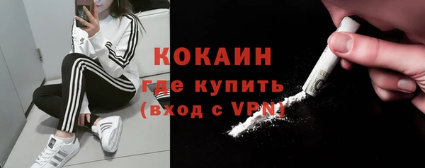 прущий лед Алзамай