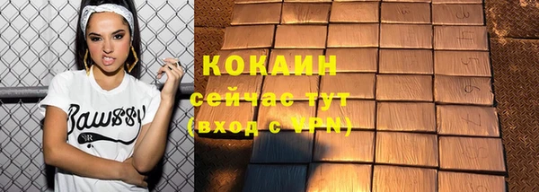 прущий лед Алзамай