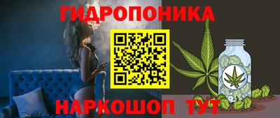 гашиш Кингисепп