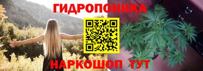 apvp Кимры