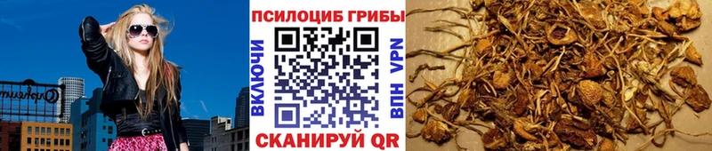 Галлюциногенные грибы Psilocybe  где найти наркотики  KRAKEN ТОР  Междуреченск 