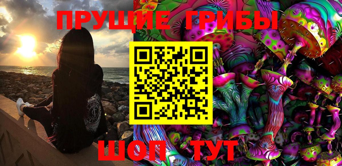 Междуреченск  Галлюциногенные грибы GOLDEN TEACHER  как найти закладки  Вход с VPN 