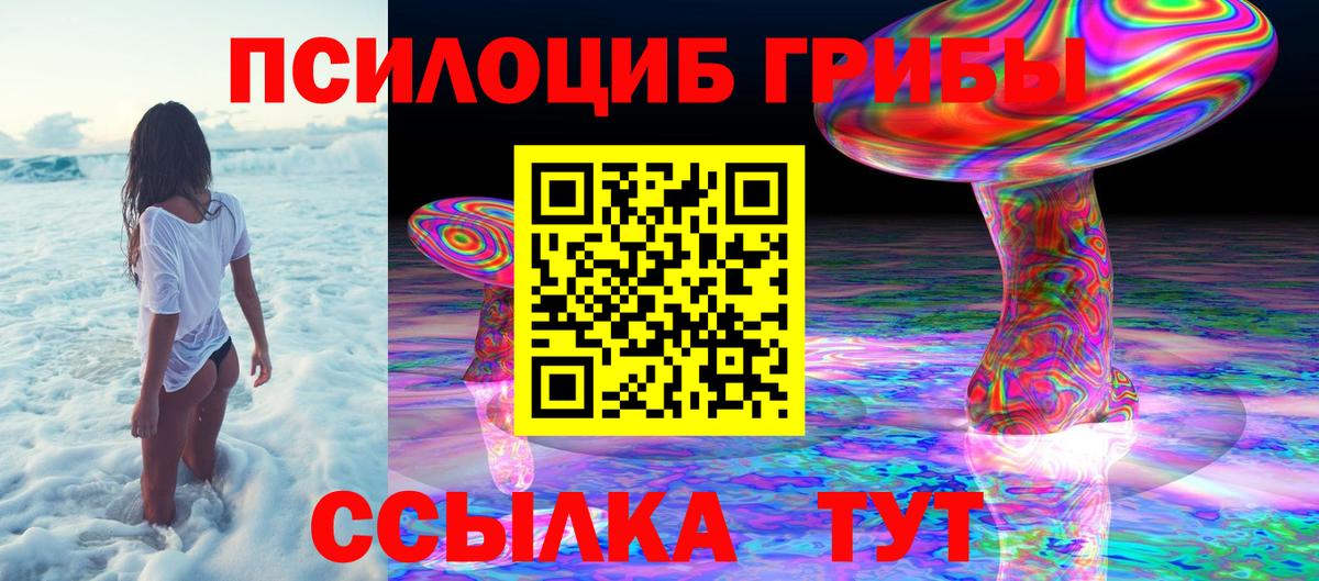 Псилоцибиновые грибы прущие грибы Междуреченск